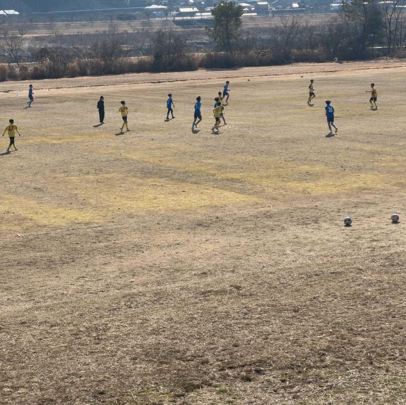 FCアビエスジュニアユース-TM-ベルテックス